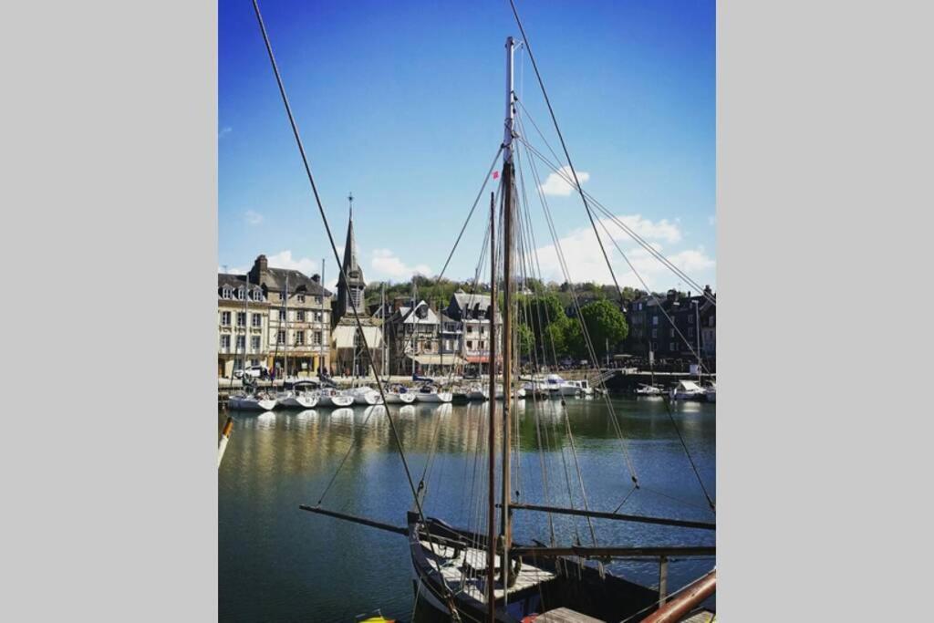 Une Pause Chez Julien, Appartement Lumineux Et Idealement Situe! Honfleur Luaran gambar